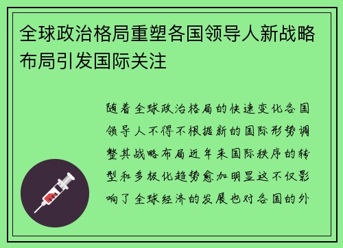 全球政治格局重塑各国领导人新战略布局引发国际关注