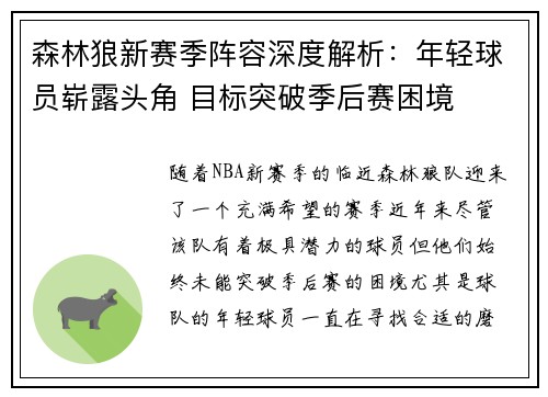 森林狼新赛季阵容深度解析：年轻球员崭露头角 目标突破季后赛困境